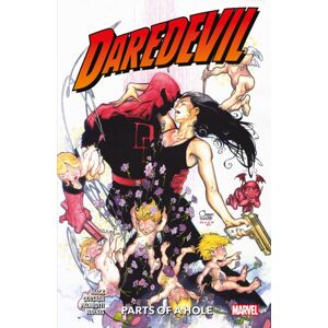 Panini Publishing Ltd Daredevil: Parts Of A Hole Panini Publishing Ltd Daredevil: Parts Of A Hole