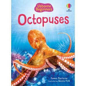 Usborne Publishing Ltd Beginners Octopuses Usborne Publishing Ltd Beginners Octopuses