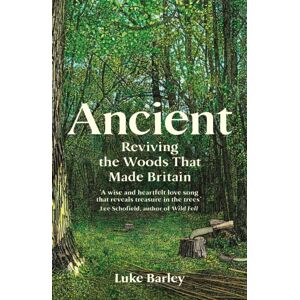 Profile Books Ltd Ancient : Reviving The Woods That Made Britain Profile Books Ltd Ancient : Reviving The Woods That Made Britain