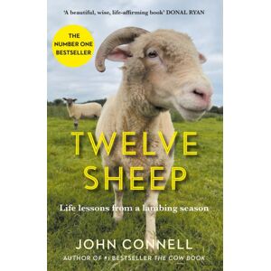 Atlantic Books Twelve Sheep : Life Lessons From A Lambing Season Atlantic Books Twelve Sheep : Life Lessons From A Lambing Season