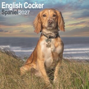 CAROUSEL CALENDARS 2027 English Cocker Spaniel Wall CAROUSEL CALENDARS 2027 English Cocker Spaniel Wall
