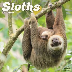 CAROUSEL CALENDARS 2027 Sloths Wall CAROUSEL CALENDARS 2027 Sloths Wall