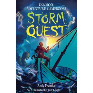 Usborne Publishing Ltd Storm Quest Usborne Publishing Ltd Storm Quest