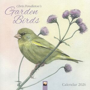 Flame Tree Publishing Chris Pendleton Garden Birds Wall Calendar 2026 (Art Calendar) Flame Tree Publishing Chris Pendleton Garden Birds Wall Calendar 2026 (Art Calendar)