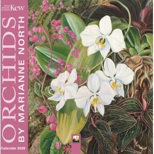 Flame Tree Publishing Kew Gardens: Orchids By Marianne North Mini Wall Calendar 2026 (Art Calendar) Flame Tree Publishing Kew Gardens: Orchids By Marianne North Mini Wall Calendar 2026 (Art Calendar)