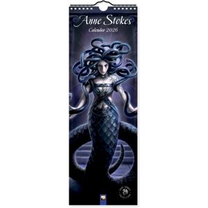 Flame Tree Publishing Anne Stokes Slim Calendar 2026 (Art Calendar) Flame Tree Publishing Anne Stokes Slim Calendar 2026 (Art Calendar)