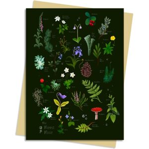Flame Tree Publishing Anna Stead Forest Floor Greeting Card Pack : Pack Of 6 Flame Tree Publishing Anna Stead Forest Floor Greeting Card Pack : Pack Of 6