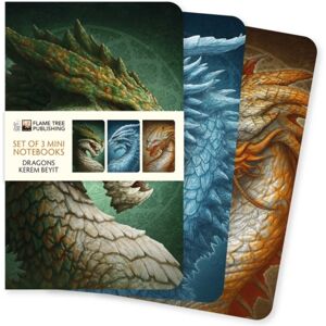 Flame Tree Publishing Dragons By Kerem Beyit Set Of 3 Mini Notebooks Flame Tree Publishing Dragons By Kerem Beyit Set Of 3 Mini Notebooks