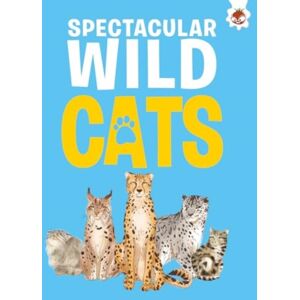 Hungry Tomato Ltd Spectacular Wild Cats Hungry Tomato Ltd Spectacular Wild Cats