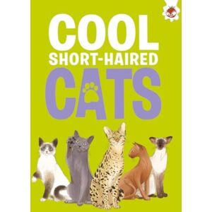 Hungry Tomato Ltd Cool Short-Haired Cats Hungry Tomato Ltd Cool Short-Haired Cats