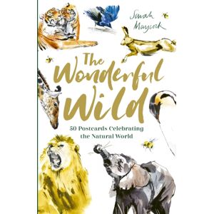 Bonnier Books Ltd The Wonderful Wild : 50 Postcards Celebrating The Natural World Bonnier Books Ltd The Wonderful Wild : 50 Postcards Celebrating The Natural World