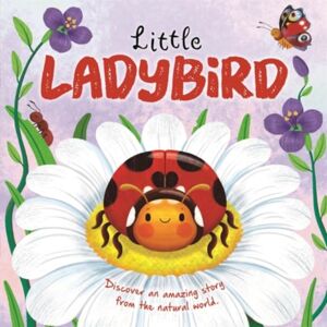 Bonnier Books Ltd Little Ladybird Bonnier Books Ltd Little Ladybird