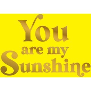 Octopus Publishing Group You Are My Sunshine : Uplifting Quotes For An Awesome Friend Octopus Publishing Group You Are My Sunshine : Uplifting Quotes For An Awesome Friend