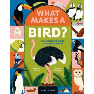 Flying Eye Books What Makes A Bird? : An Illustrated Guide To The Bird World Flying Eye Books What Makes A Bird? : An Illustrated Guide To The Bird World