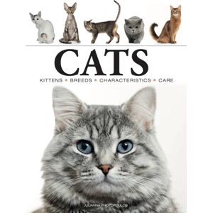 Amber Books Ltd Cats Amber Books Ltd Cats