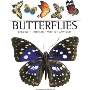 Amber Books Ltd Butterflies Amber Books Ltd Butterflies
