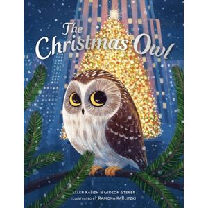 Andersen Press Ltd The Christmas Owl Andersen Press Ltd The Christmas Owl