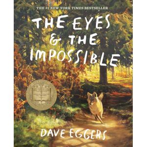 Andersen Press Ltd The Eyes And The Impossible Andersen Press Ltd The Eyes And The Impossible