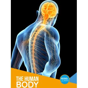 BookLife Publishing The Human Body BookLife Publishing The Human Body