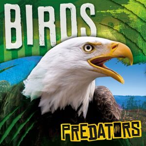 BookLife Publishing Birds BookLife Publishing Birds