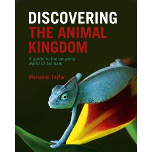 Arcturus Publishing Ltd Discovering The Animal Kingdom : A Guide To The Amazing World Of Animals Arcturus Publishing Ltd Discovering The Animal Kingdom : A Guide To The Amazing World Of Animals