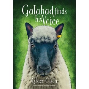 Brown Dog Books Galahad Finds His Voice Brown Dog Books Galahad Finds His Voice