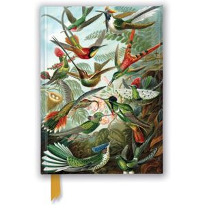 Flame Tree Publishing Ernst Haeckel: Hummingbirds (Foiled Journal) Flame Tree Publishing Ernst Haeckel: Hummingbirds (Foiled Journal)