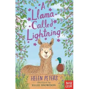 Nosy Crow Ltd A Llama Called Lightning Nosy Crow Ltd A Llama Called Lightning