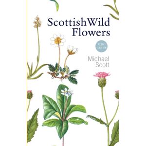 Birlinn General Scottish Wild Flowers : Mini Guide Birlinn General Scottish Wild Flowers : Mini Guide