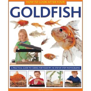 Anness Publishing How To Look After Your Goldfish Anness Publishing How To Look After Your Goldfish