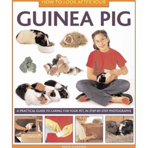 Anness Publishing How To Look After Your Guinea Pig Anness Publishing How To Look After Your Guinea Pig