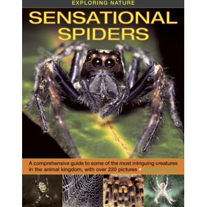 Anness Publishing Exploring Nature : Sensational Spiders: A Comprehensive Guide To Some Of The Most Intriguing Creatures In The Animal Kingdom, With Over 220 Pictures Anness Publishing Exploring Nature : Sensational Spiders: A Comprehensive Guide To Some Of The Most Intriguing Creatures In The Animal Kingdom, With Over 220 Pictures