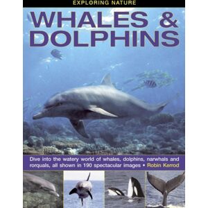 Anness Publishing Exploring Nature: Whales & Dolphins : Dive Into The Watery World Of Whales, Dolphins, Narwhals And Rorquals, All Shown In 190 Spectacular Images Anness Publishing Exploring Nature: Whales & Dolphins : Dive Into The Watery World Of Whales, Dolphins, Narwhals And Rorquals, All Shown In 190 Spectacular Images