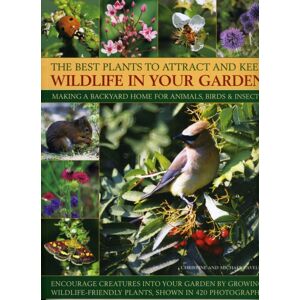 Anness Publishing Plants To Attract And Keep Wildlife In The Garden Anness Publishing Plants To Attract And Keep Wildlife In The Garden