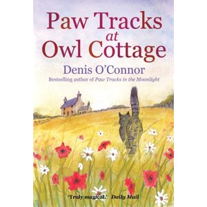 Little, Brown Book Group Paw Tracks At Owl Cottage Little, Brown Book Group Paw Tracks At Owl Cottage
