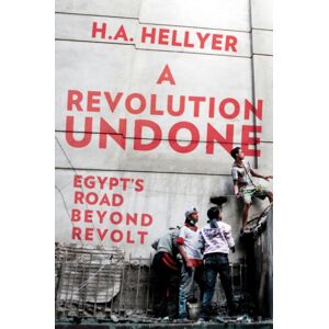 C Hurst & Co Publishers Ltd A Revolution Undone : Egypt'S Road Beyond Revolt C Hurst & Co Publishers Ltd A Revolution Undone : Egypt'S Road Beyond Revolt