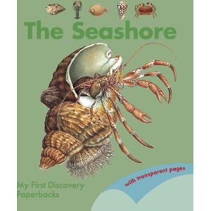 Moonlight Publishing Ltd The Seashore Moonlight Publishing Ltd The Seashore