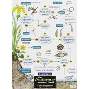 Field Studies Council The Freshwater Name Trail Field Studies Council The Freshwater Name Trail