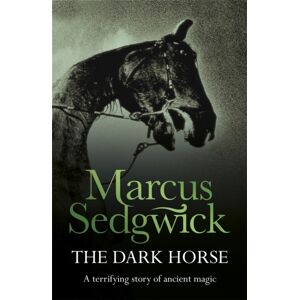 Hachette Children's Group The Dark Horse Hachette Children's Group The Dark Horse