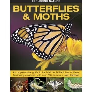 Anness Publishing Exploring Nature: Butterflies & Moths Anness Publishing Exploring Nature: Butterflies & Moths
