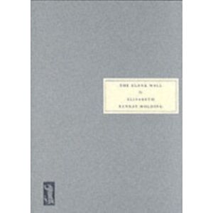 Persephone Books Ltd The Blank Wall Persephone Books Ltd The Blank Wall