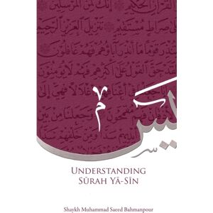 Sun Behind the Cloud Publications Understanding Surah Yasin Sun Behind the Cloud Publications Understanding Surah Yasin