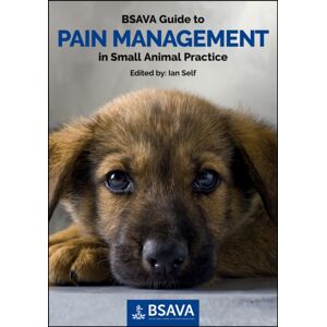 British Small Animal Veterinary Association Bsava Guide To Pain Management In Small Animal Practice British Small Animal Veterinary Association Bsava Guide To Pain Management In Small Animal Practice