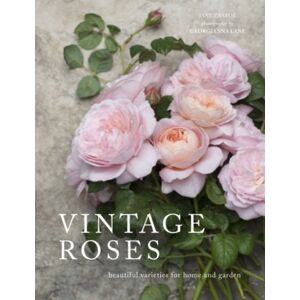 HarperCollins Publishers Vintage Roses : Beautiful Varieties For Home And Garden HarperCollins Publishers Vintage Roses : Beautiful Varieties For Home And Garden