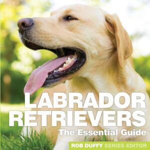 BX Plans Ltd Labrador Retrievers : The Essential Guide BX Plans Ltd Labrador Retrievers : The Essential Guide
