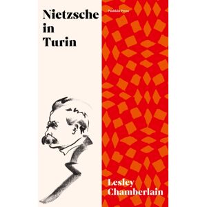 Pushkin Press Nietzsche In Turin : The End Of The Future Pushkin Press Nietzsche In Turin : The End Of The Future