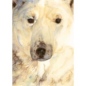 Graffeg Limited Jackie Morris Poster: Ice Bear Poster, The Graffeg Limited Jackie Morris Poster: Ice Bear Poster, The