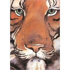 Graffeg Limited Tiger Poster Graffeg Limited Tiger Poster