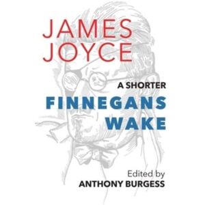 Galileo Publishers A Shorter Finnegans Wake Galileo Publishers A Shorter Finnegans Wake