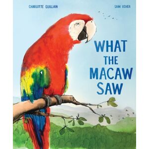 Hachette Children's Group What The Macaw Saw Hachette Children's Group What The Macaw Saw